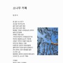 카페소나무