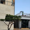 더블루네스 이미지