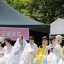 유성 이팝나무 축제 패션쇼 ~ 사진 이미지