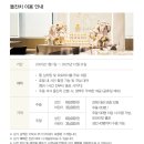 신라04 | [돌 준비04] 동탄 신라스테이 돌잔치 후기 (아틀리에 데네쥬 돌상)