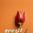 행복한아침 이미지