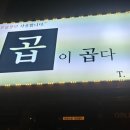 곱이곱다 이미지