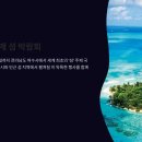 여수섬박람회 이미지