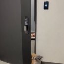 잘다녀오시개 이미지