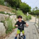 초곡합기도이루다 이미지