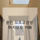 신봉그린 노동조합 | 마지모우 카페｜용인 모로코감성 브런치 후기 (뜻· 노키즈·주차장 정보 총정리)