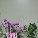 퀸즈부동산공인중개사사무소 이미지