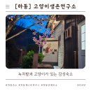 인다락벚꽃길 | [하동] 하동 벚꽃 녹차밭 뷰 조식 맛집 감성 숙소 추천 도시고양이생존연구소(4인, 북카페, 내부, 예약...