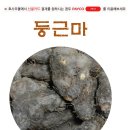 ■ 활용방법 정보 공유용■ 둥근마 빅 세일 2세트 접수중(선착순 접수완료순에 따라 자동마감) 이미지