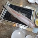봄날 기력보충 하자~!!삼산점 장어:송산민물대장어참숯불구이/부평구청,삼산동 맛집
