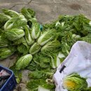 병태농장 이미지