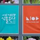 사월의 봄 길 드라이브 아산 세계꽃식물원 방문 후기