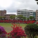 동강대학교 - 25459 | 동강대학교