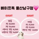 진도담배 이미지