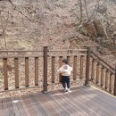 청계 맑은숲공원 이미지