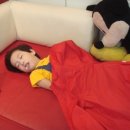 아람목장2 이미지