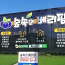 숲속의 베리팜