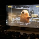 951 | 롯데시네마 중랑 리클라이너관 시야 아바타3 후기