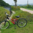 영신자전거 이미지