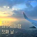 [여행 : 제주] 제주도 여행 첫째 날 / 비행기에서 처음 느낀 난기류 / SK 렌터카 제주지점 후기 꿀팁