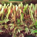 한가족농장 이미지