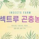 내성초등학교병설유치원 이미지