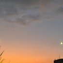 강남대로101안길 18-5 이미지
