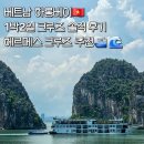 [베트남준비]베트남 하롱베이 크루즈 추천(효도관광)🚢🌊: 5성급 헤르메스 크루즈 후기