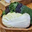 강박사 쌈밥 이미지