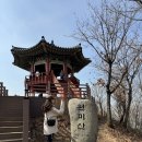 167 | 부천 원미산 3월 등산(해발 167M) 후기