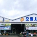 고성오조로 이미지