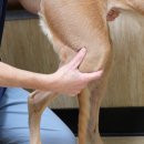 티앤디 동물병원 이미지