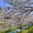 삼향천3 이미지