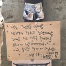 이평로4번길 46 앞 | 익선동 카페 추천, 분위기 좋은 대형 한옥카페&amp;바 식물 후기