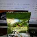 Healthy Cat 이미지