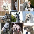 또라이 기질이 혈통 대대로 내려오는데 스타성 하나는 오지는 가문.JPG 이미지