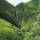 눈이편한 이미지