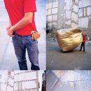 포켓하우스 이미지