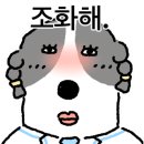 모토스파 이미지
