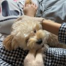 도남사 | 노는게 젤조아