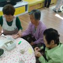 과학기술원공원 Daum카페