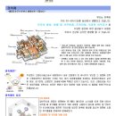 세차랜드