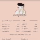 몽실캣 이미지