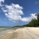 켄싱턴 수영장 이미지