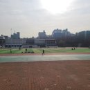 반포종합운동장 | 반포축구장을 가다_반포종합운동장 이용후기 (시설, 잔디, 주차팁)