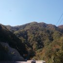 갈골펜션 Daum카페