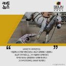 다이아호프 - 평택시 | 다이아호프