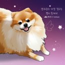 굿바이펫 이미지