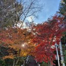 예당저수지 다녀오다 이미지