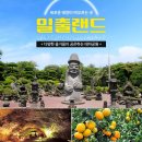 [항공] 2박3일 초특가 특별행사 제주도(한라산) 산행 및 관광 1차=6월28일 / 2차=7월5일 / 3차=7월12일 이미지